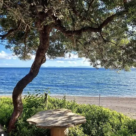 Villa Dadya 2 - With Private Pool - 750m Distance To The Datça