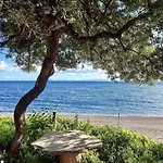 Villa Dadya 2 - With Private Pool - 750m Distance To The Datça
