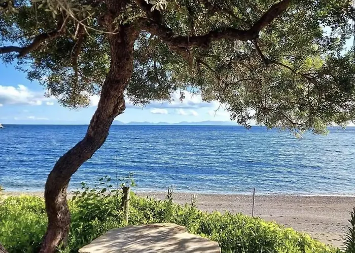 וילה Dadya 2 - With Private Pool - 750m Distance To The דטקה